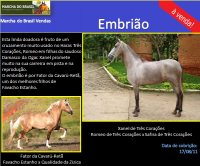 Xanel de Três Corações x Fator da Cavarú Retã